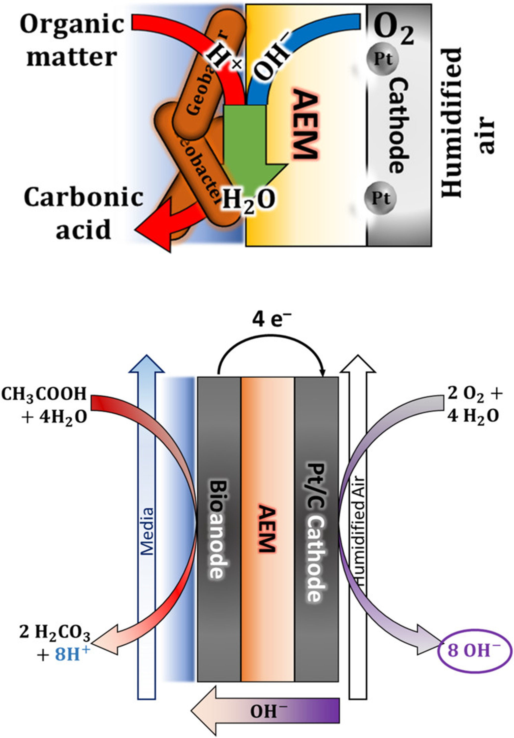 Microbial Flow Continuous Flow Microbial Flow Cell with an Anion Exchange Membrane for ...